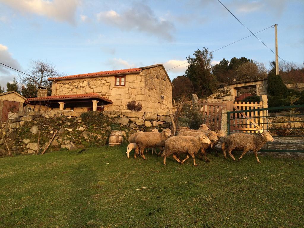 Refugio Dos Cregos Guest House Riba de Mouro Luaran gambar